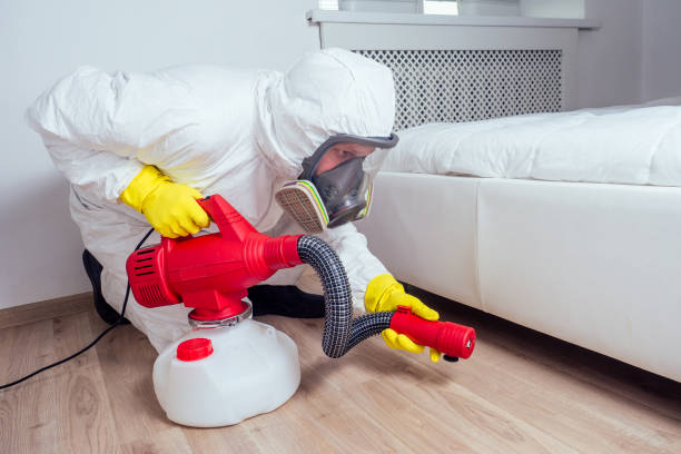 Best Affordable Pest Control Services  in Winnsboro, TX