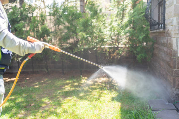 Best Insect Control  in Winnsboro, TX